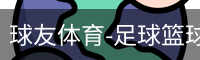 球友体育-足球篮球体育直播平台